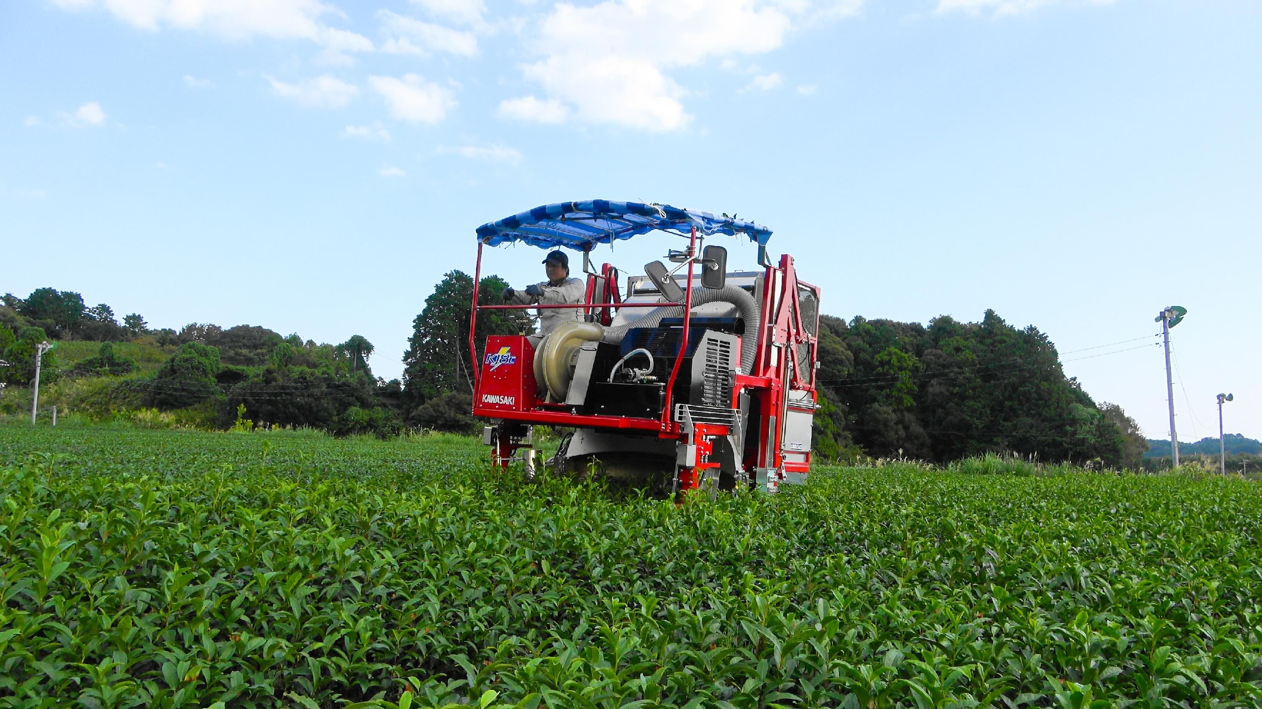 IoTで茶葉の生産・収穫・製造工程を自動記録。デジタル化で農業の課題に向き合う。